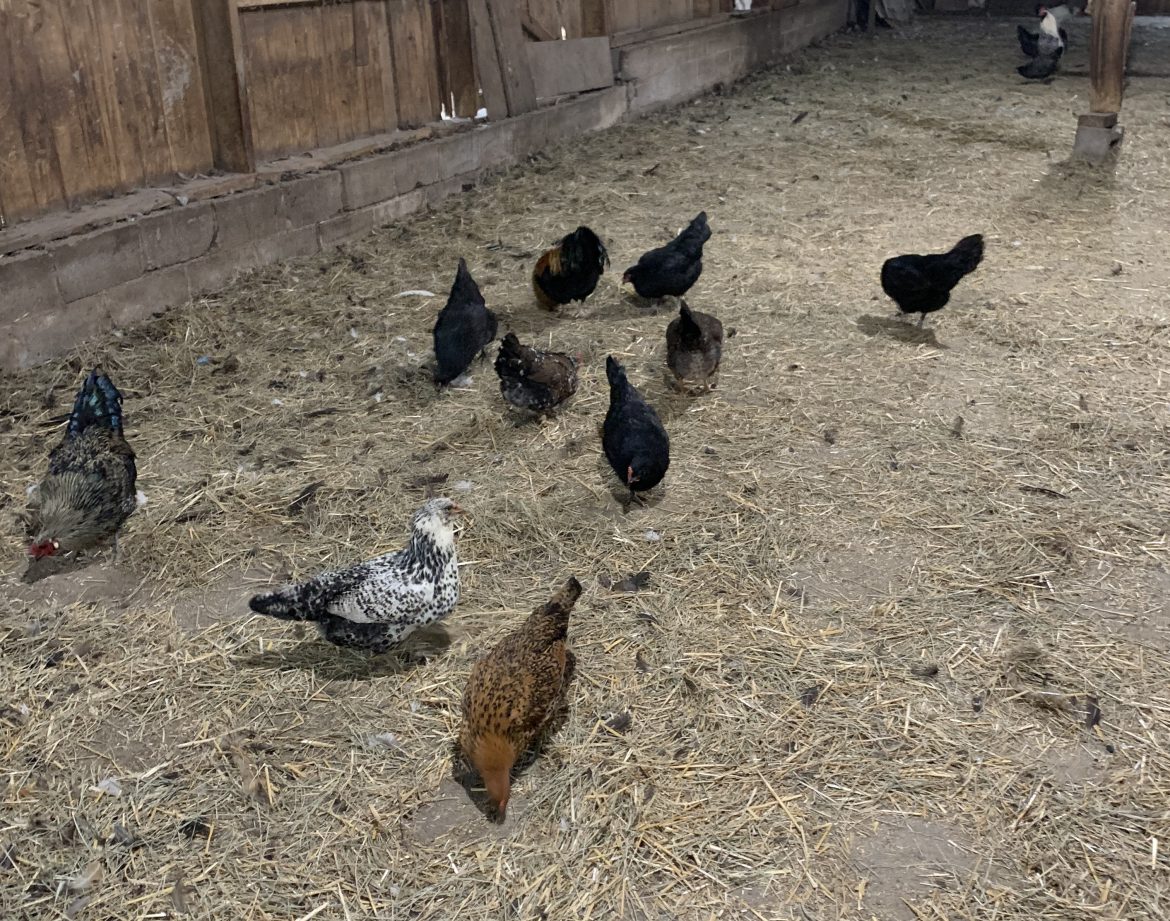 Aberdeen Mills Aberdeen Mills, built in 1770, offers short term