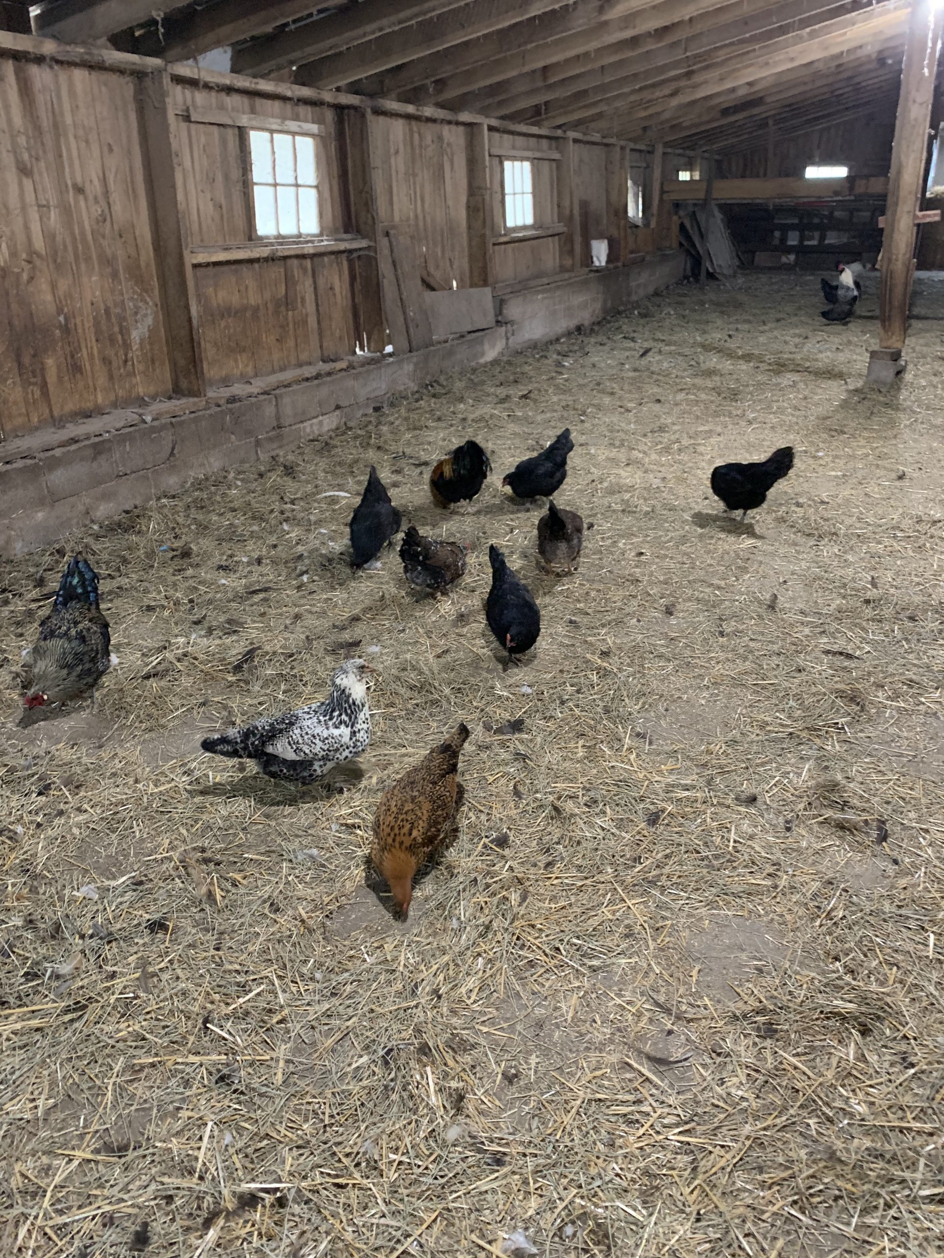 Aberdeen Mills Aberdeen Mills, built in 1770, offers short term